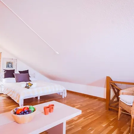 Hibiscus Centrum Private Pool Family * 科拉雷侯